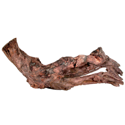 Korzeń Mangrowca 15 - 25 cm ZOLUX