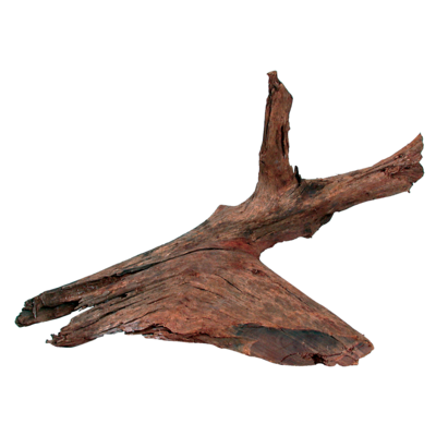 Korzeń Mangrowca 25 - 40 cm ZOLUX