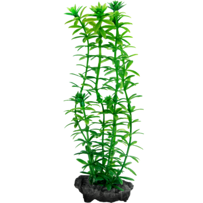 Ozdoba akwariowa DecoArt Plant S Anacharis TETRA