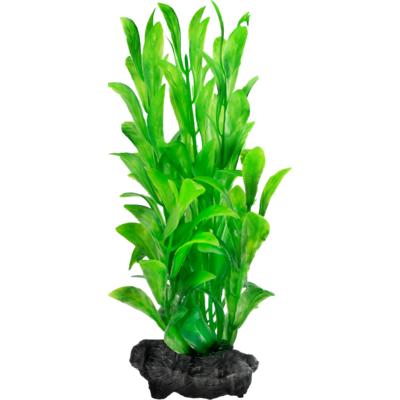Ozdoba akwariowa DecoArt Plant S Hygrophila TETRA
