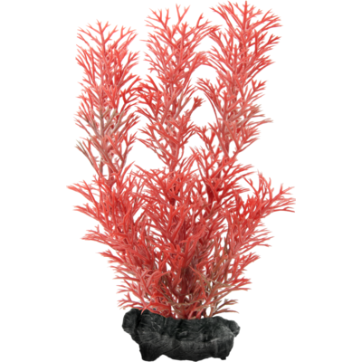 Ozdoba akwariowa DecoArt Plant S Foxtail Red TETRA