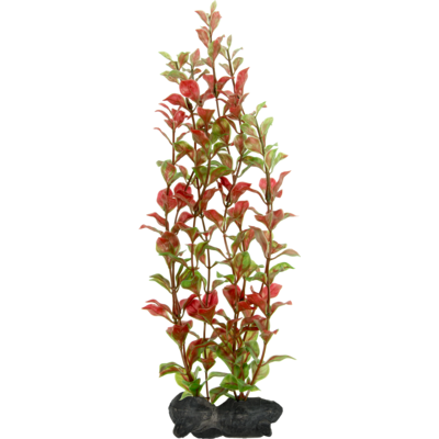 Ozdoba akwariowa DecoArt Plant S Red Ludwigia TETRA