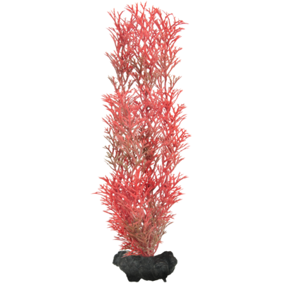 Ozdoba akwariowa DecoArt Plant M Foxtail Red TETRA