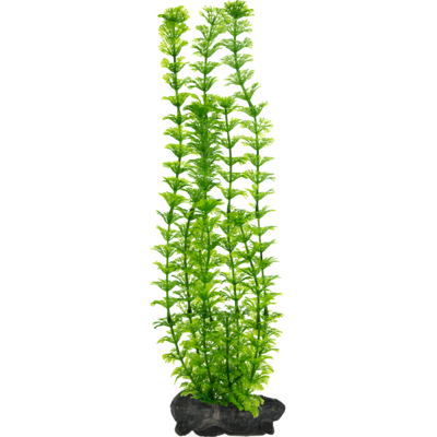 Ozdoba akwariowa DecoArt Plant L Ambulia TETRA