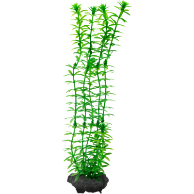 Ozdoba akwariowa DecoArt Plant L Anacharis TETRA