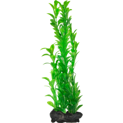 Ozdoba akwariowa DecoArt Plant L Hygrophila TETRA