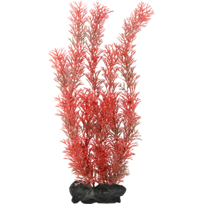 Ozdoba akwariowa DecoArt Plant L Foxtail Red TETRA