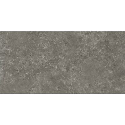 Gres szkliwiony G313 Graphite 29,8 x 59,8 cm gat.1