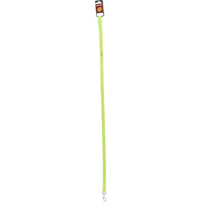 Smycz nylon 1 m/10 mm seledynowy ZOLUX