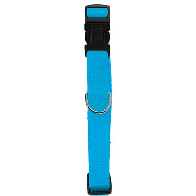 Obroża nylon regulowana 40 mm turkusowy ZOLUX
