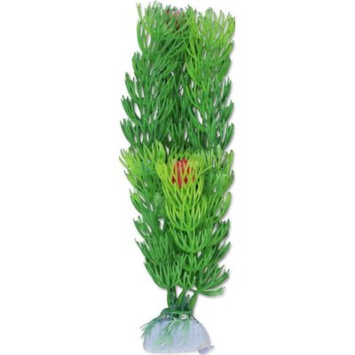 Roślina akwariowa sztuczna 2B50 20 cm happet