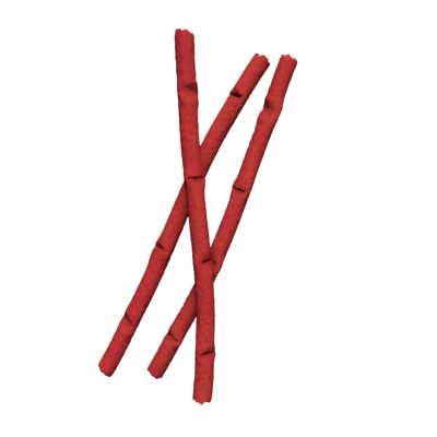 Przysmak MOOKY TWIGS dla kota z wołowiną 60 g ZOLUX