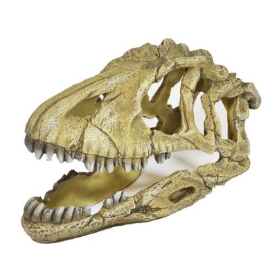 Ozdoba akwariowa U714 czaszka dinozaura happet