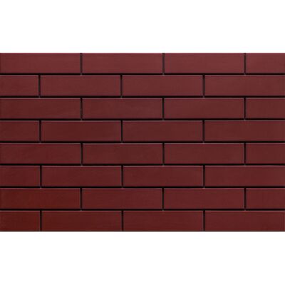 Elewacja BURGUND 245 x 65 x 6,5 mm