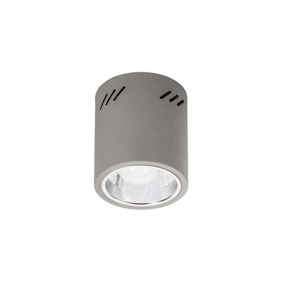 Plafon Donald E27 60W popielaty