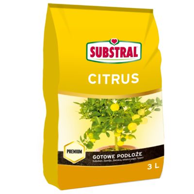 SUB ZIEMIA DO CYTRUSÓW  A`3L