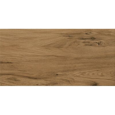 Gres szkliwiony Ashville brown 29,7 x 59,8