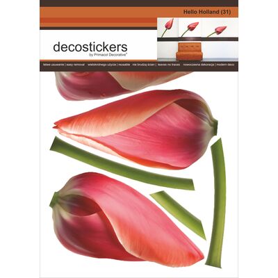 Naklejka dekoracyjna Decostickers Hello Holland 31 Primacol Decorative