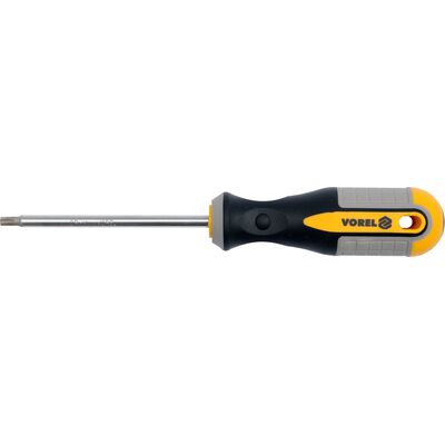 Wkrętak TORX T25 x 100 mm CRV