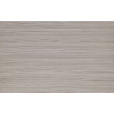 Płytka ścienna PS204 GREY 25 x 40