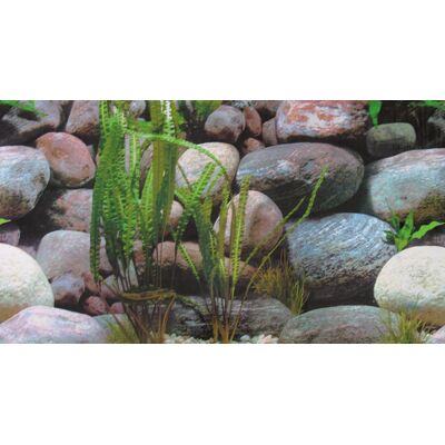 Tło akwariowe dwustronne 60 cm/25 m skały/skały HOBBY