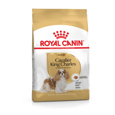 Karma dla psów CAVALIER KING CHARLES ADULT 1,5 kg ROYAL CANIN