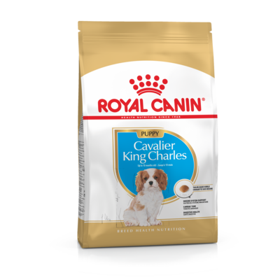 Karma dla psów CAVALIER KING CHARLES PUPPY 1,5 kg ROYAL CANIN