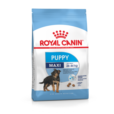 Karma dla psów MAXI PUPPY 4 kg ROYAL CANIN