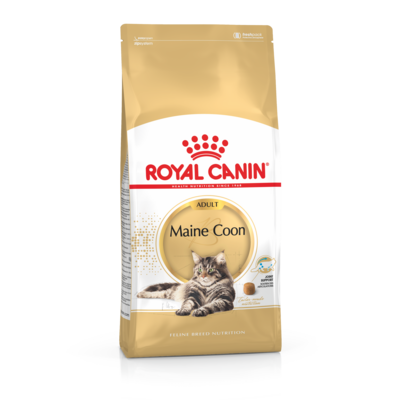 Karma dla kotów MAINE COON ADULT 2 kg ROYAL CANIN