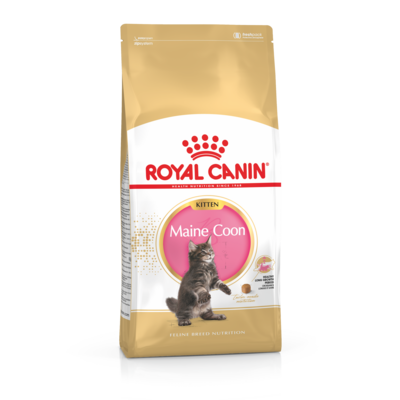 Karma dla kotów MAINE COON KITTEN 2 kg ROYAL CANIN