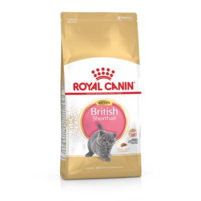 Karma dla kociąt BRITISH SHORTHAIR KITTEN 400 g ROYAL CANIN