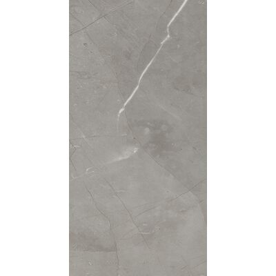 Gres szkliwiony Pure grey 31 x 62 cm gat. I