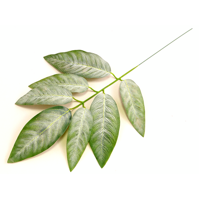 Liście 57 cm