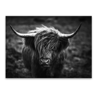 Obraz Glasspik 50 x 70 cm EX633 HORNS