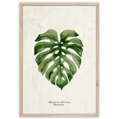 Obraz Framepic 50 x 70 cm FP037 MONSTERA