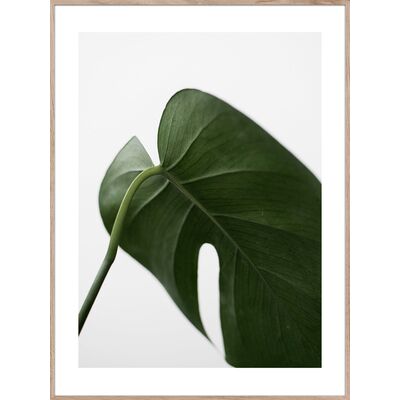 Obraz Artbox Digi 50 x 70 cm AB058 LEAF