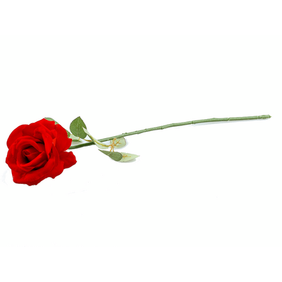 Róża pojedyncza czerwona 60 cm