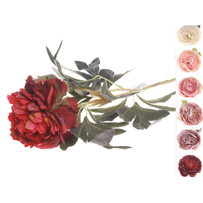 Peonia mix kolorów 95 cm