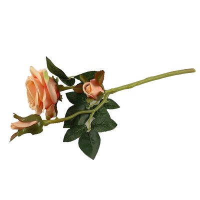 Róża brzoskwiniowa 38 cm
