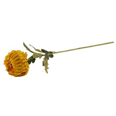 Chryzantema pojedyncza żółta 75 cm