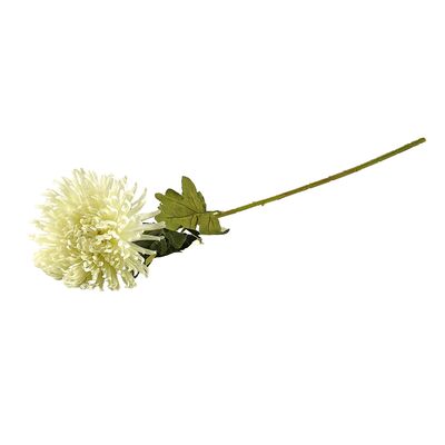 Chryzantema biała 70 cm