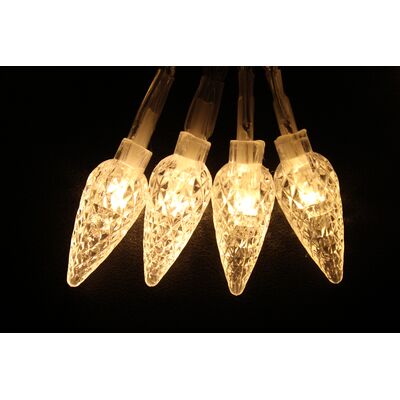 Lampki wewnętrzne/zewnętrzne 40 LED 2,5 cm ciepły biały