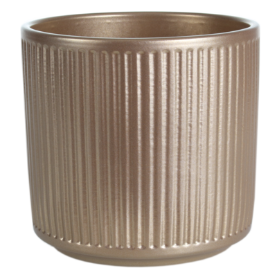 Osłonka do poinsecji cylinder 12cm perłowe złoto