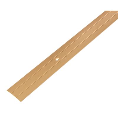 Listwa łączeniowa z podwójnym rowkiem ALU złota 2000 x 38