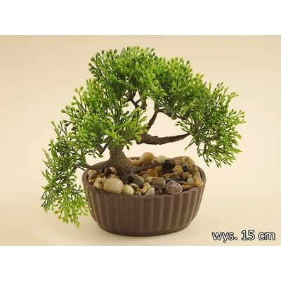 Bonsai w doniczce 15 cm