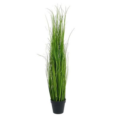 Trawa w doniczce 85 cm