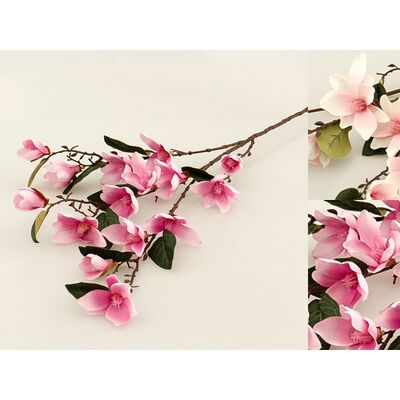 Magnolia gałązka 4 sztuki
