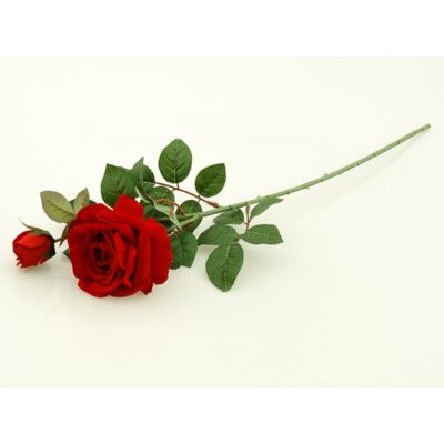 Róża gałązka x 2