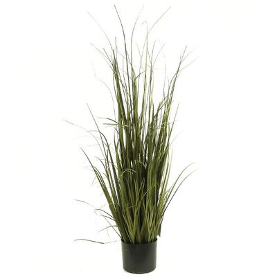 Trawa w doniczce 105 cm