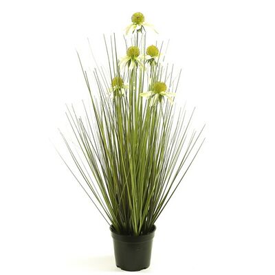 Trawa w doniczce 60 cm